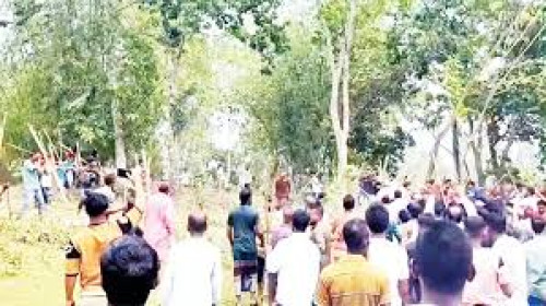 হবিগঞ্জে চার উপজেলায় সংঘর্ষে নিহত ৩, আহত দুই শতাধিক