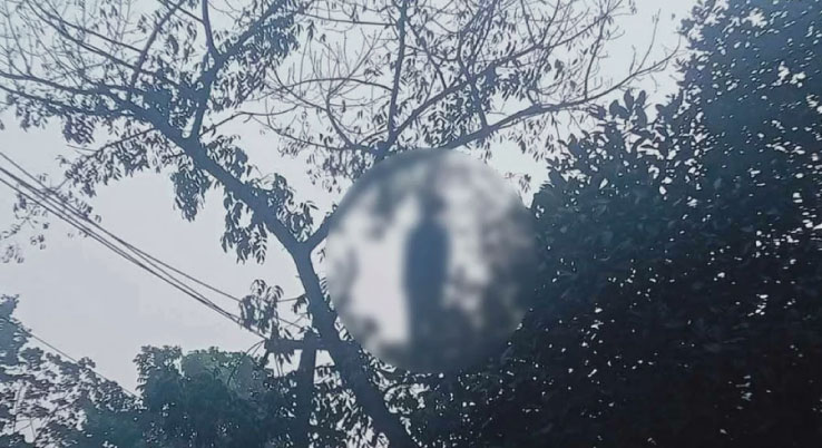 ঢাবির জিমনেসিয়াম এলাকায় গাছ থেকে ঝুলন্ত মরদেহ উদ্ধার