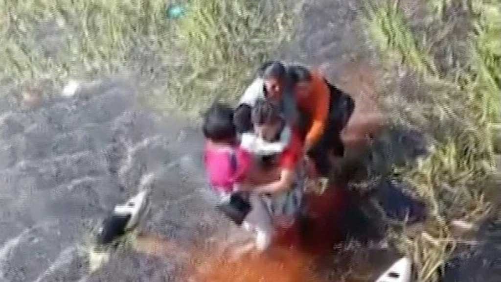 বলিভিয়ায় বিমান বিধ্বস্ত হয়ে কুমিরে ঘেরা জলাভূমিতে আটকা ৫ জন, ৩৬ ঘণ্টা পর উদ্ধার