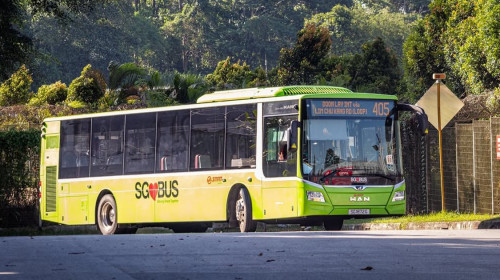 সিঙ্গাপুরের  ‘বিরল’ বাস সার্ভিস ৪০৫: ২০২৬ সালের সময়সূচি প্রকাশ